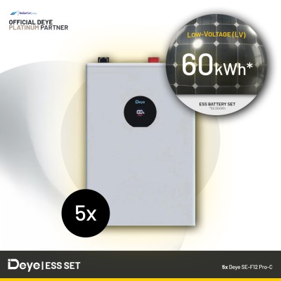 60 kWh Low-Voltage ESS Battery Set - Deye SE-F12 Pro-C (5x 11.8 kWh)